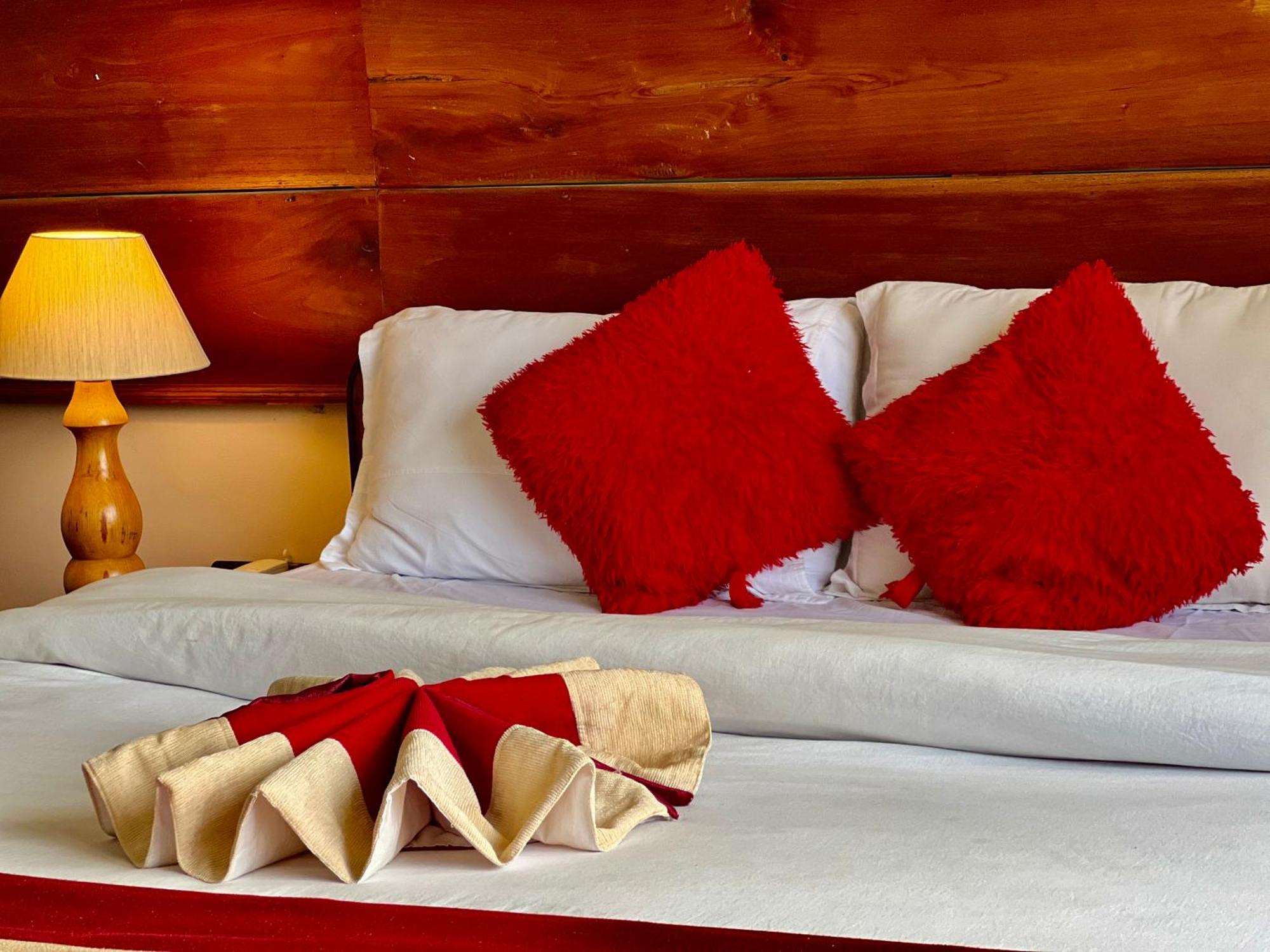 Mount Everest Hotel & Resort ナガルコット エクステリア 写真
